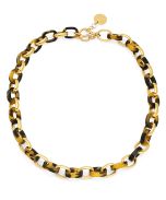 Gold & Tortoise Chain Link Necklace